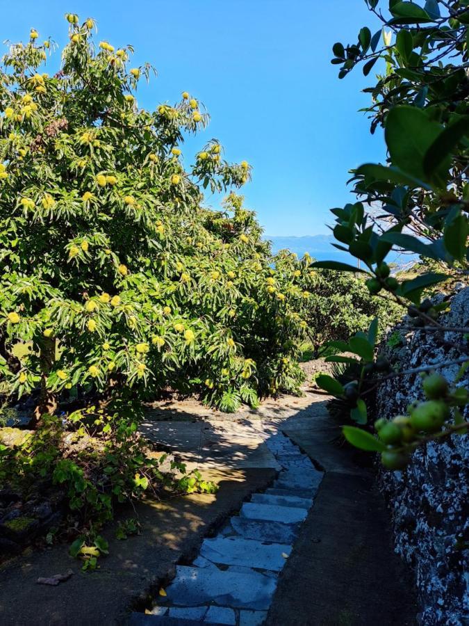 Santo Antonio A Fonte公寓 外观 照片