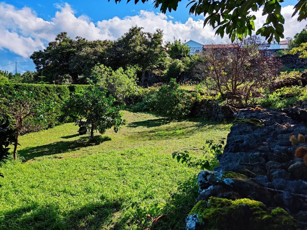 Santo Antonio A Fonte公寓 外观 照片